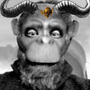 Benutzeravatar